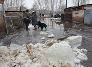 ������� ��������� � ������ �������, ���������� ��������������� ���������