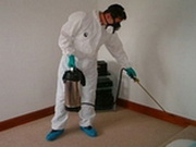 ������ ����� ������ ������ � ���������: ����������� �� ���� ������������� ��� ��������