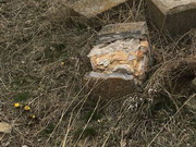 ������� � ������� �������� ��������� ���������� ���� � ���