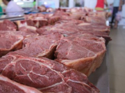 ���� ���������� � ����������