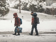 � ������, ��������� � �������� �������� ������� � ������