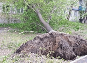 ������ ������ � ��������������