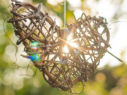 ���������� ������� ������������