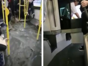 �������� �������: �������� ������������ �������� �������� � ������