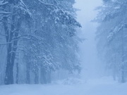 ��������� � ������� �����. ��������� ���������� � ������ � ����������