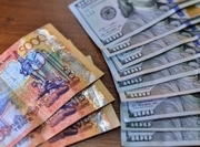 ������ ������� �� 365 ����� � ����������