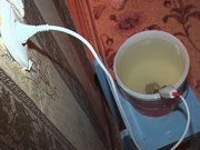 96 ����� � ������ ��� ������� ����