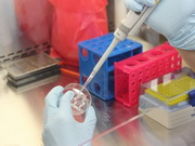 10 ������� ������ ���������������� � ������