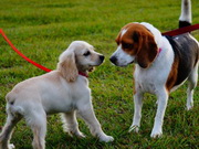 �� ���������� ����� �� ������� ��������� � ������ � ����� ������: ����� ������� ��������� � ������