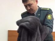 ����� ������� �������� ����� ������ 66 ��� � ���������� �����