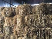 ���������� �������� �����