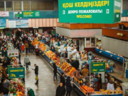 ���� ��� �� �������� ����� ����� ����� �������� �������