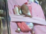 ����������� ������ ��������� ������� ������������ �����������, ��������� � ������