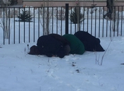 ������� � ������� ���������� � ����� � ������