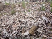 ���� ������ ��� �������� ����� �������� �����������