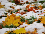 ������ ���� ��������� � ����������