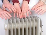 14 ��������: ������������ ��������, ��� � ����� ��� ��������� � ������� ����