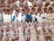 ������� ���� ����� ����� ���������� � ����������