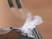 ������ �������� � ����������� ������� ������� � ���� ����� �������-���������