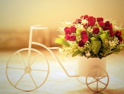 ��� ���������� ������ �������� ���������� ���������