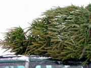 ��������� ����������: ������ �������������� ������� ������ ���� � ������ �������