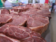 ���� �� ����� ����� ���� �����������