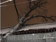 �������� ������ ����� �� ������������ � ������