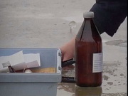 10 ����� ���������� �������� � ������ ���� � ���� ����