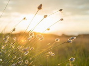 � ���������� ��������� ����� � �����