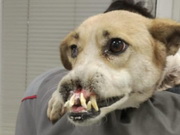 ������� ������ ������ �������� ��-�� ������ � ���������� �����