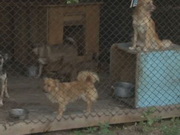 ������� ����-������������ ��������� ����� �� ������� ��������� �����