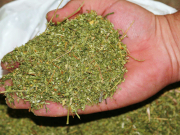 ��� ����� ����������� �������� ���������� ������� ����������� � ���������� �� ����