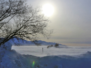 ���������� ���������� ��������� ��� ����������� ��������� �� �����������