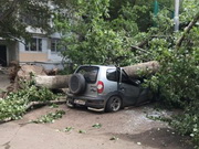 ������ ������ ����� � ������ ���������� � ���