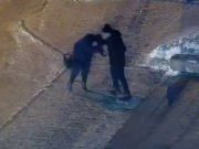 ���������� ����� ������� �� ������ � ����������� ��������