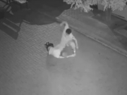 ������ �������� � �������� �������� ������� ���� � ���-�������