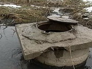 ��� ���� � ����������� ������� �������� �����������