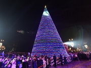 ������� ���� ������ � ������