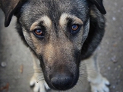 ��� ���������� ����� �������� ����� � ����� �� ������ ���������� � ���������