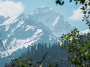 ��� ������������ �� ������ ���������� � ����� ������