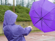 ������, ����� � ����� ������������ ��������� � ����