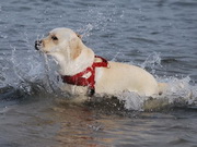 ������ ����������� ��� ��� �� ������ - �� ������ ������ ���������