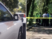 ������������� � �������� ������ ���� �������� �� ����� ����������� - ���� ���������