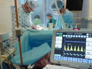 ����� �� ������� ������ ������� ������������ ��� �����������