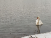 ������ ������� ������� � ������� �������� �� ������