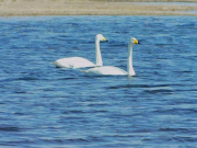 � �ққ��� � ���� ���� ������ ������ ��������� ������ ��������