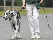 ������ ������ ���������� ����� � ����� ��������� � ��������������� � ����������