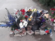 ������������������� �������� � ���������� �� �������� ���������� ����� � ����������