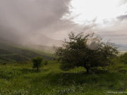 � ��������� ������ �����