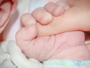 ���� ����������� ���� �������� ��������� ������ � ����-��������